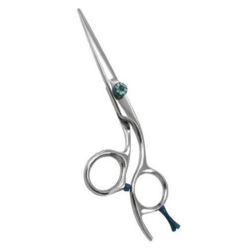 Professional Hair Cutting Scissors